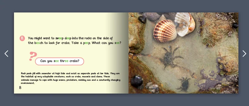 Stage 5 Monster Phonics non fiction example